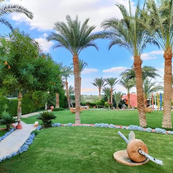 拉塞比度假酒店 Tunis 外观 照片